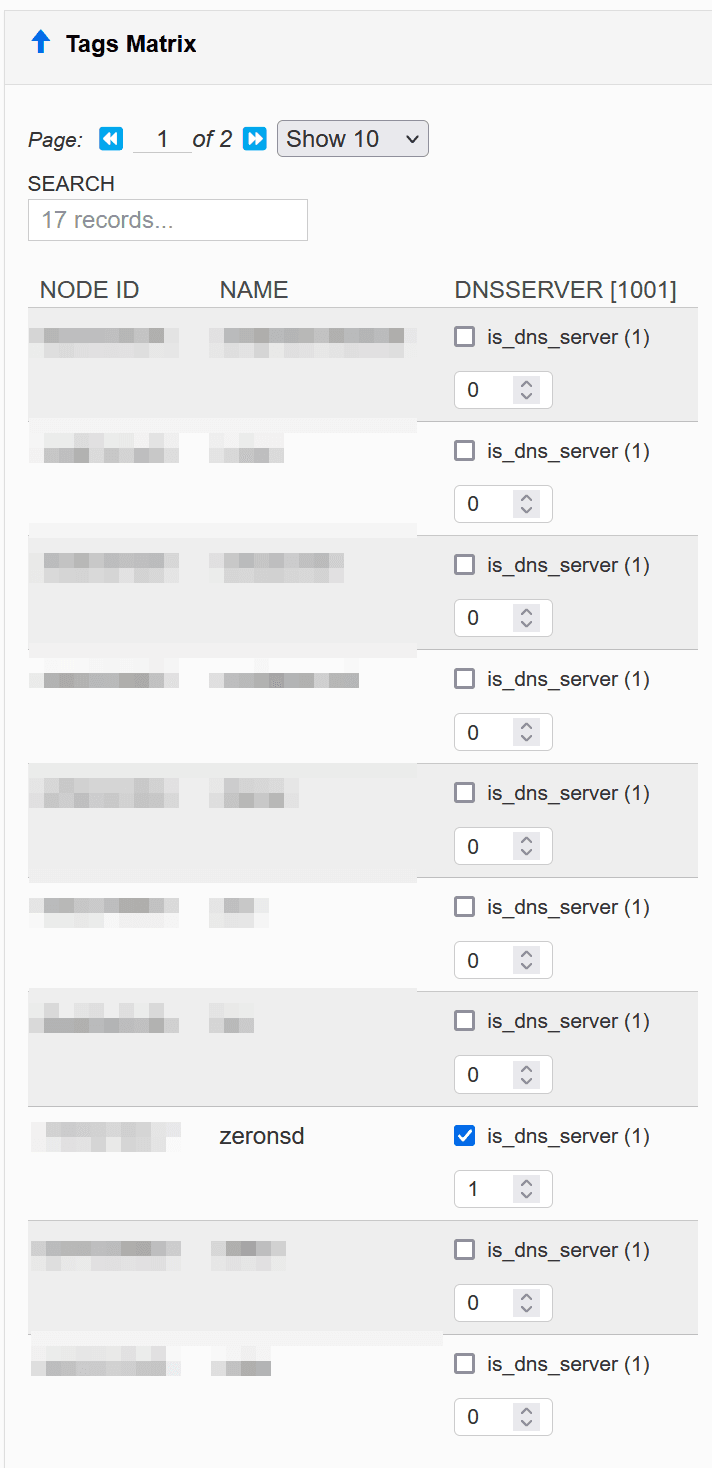 Tag settings for ZeroNS node